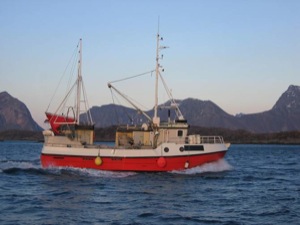 MS Engel�yv�ring